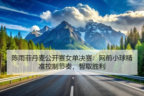 陈雨菲丹麦公开赛女单决赛：网前小球精准控制节奏，智取胜利
